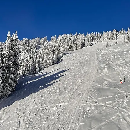 Zaglgut Hotel-chalets, Fantastic Views, In Ski-out In Winter, Air Conditioning In Summer Hotel 4*