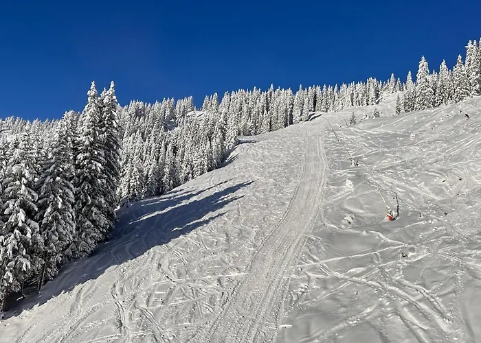 Zaglgut Hotel-chalets, Exclusive And With Air Conditioning, Panoramic Views & Summer Card Included Hotel 4*